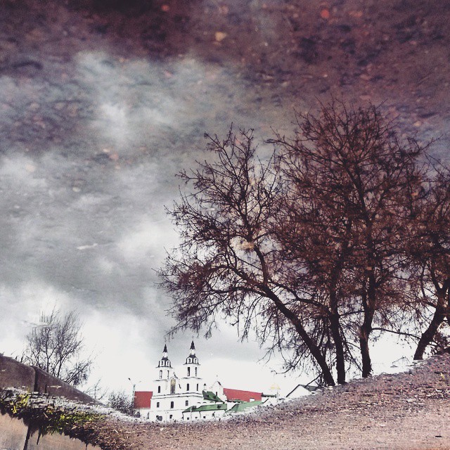 Сегодня дожди… Сегодня дожди…